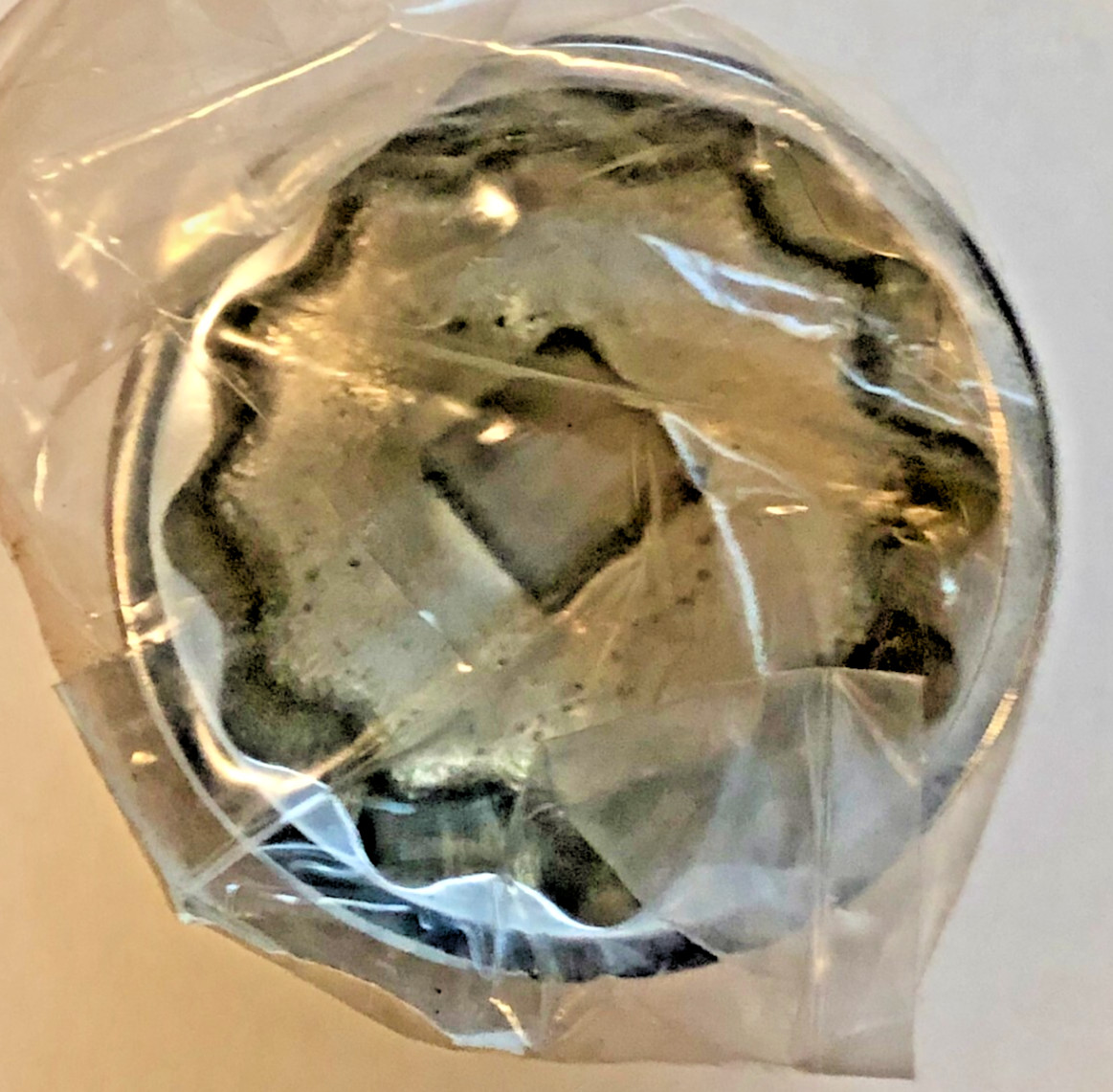Urrea 5572 3/4 Drive Socket 2-1/4 12 Pt Chrome NSN 5120-00-199-7771 NOS