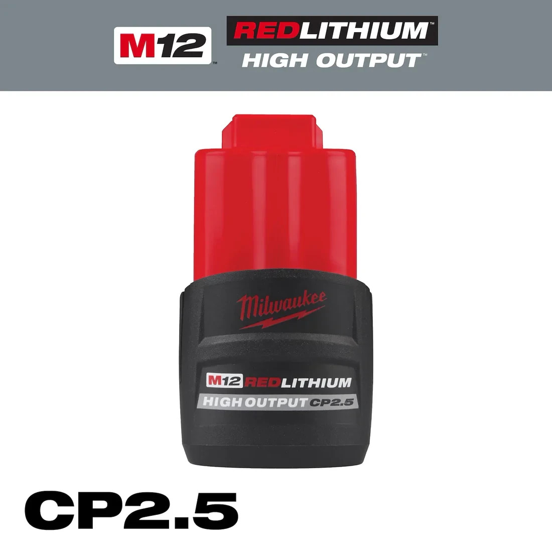 Milwaukee 2951-20 M12 Radio + Charger + FREE Battery