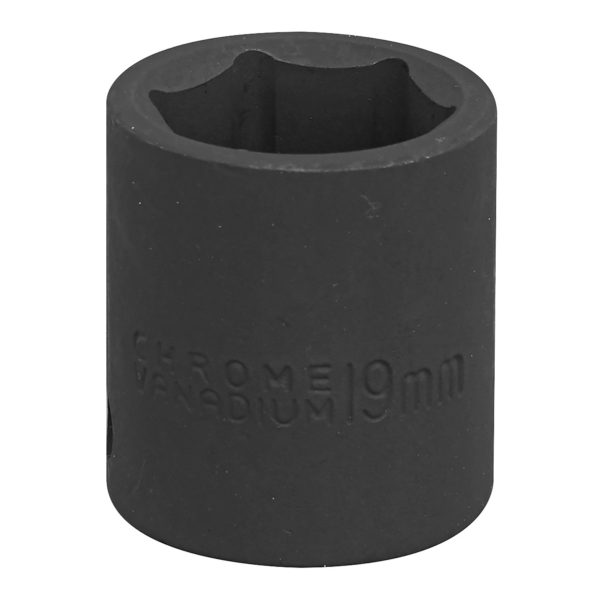 Sealey Impact Socket Tool 19mm 3/8″ Square Drive – ‎Corrosion Resistant IS3819