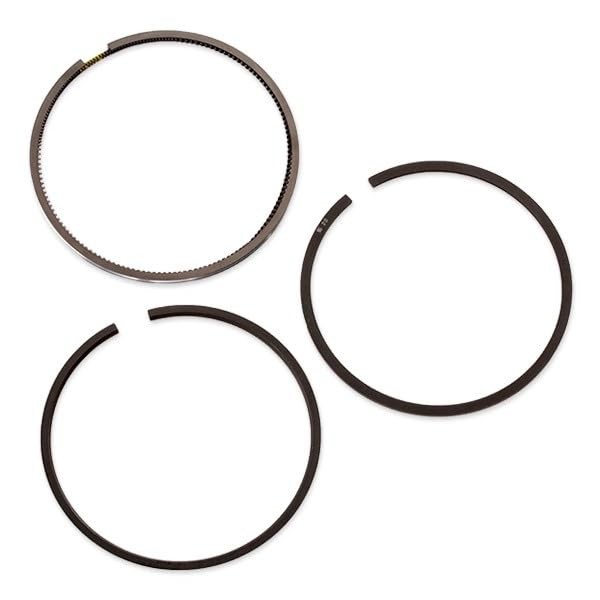 800051610000 Piston Ring Set